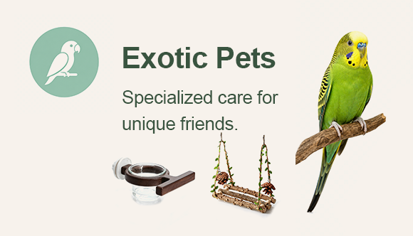 Exotic Pets